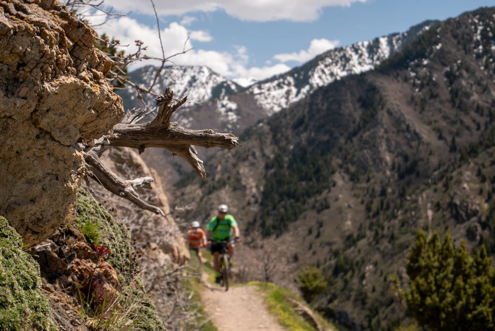 Outdoor Adventures in Riverside: Hiking, Biking, and More